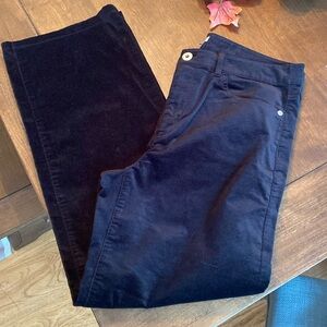 J.Jill Black Velour Pants- size 10P